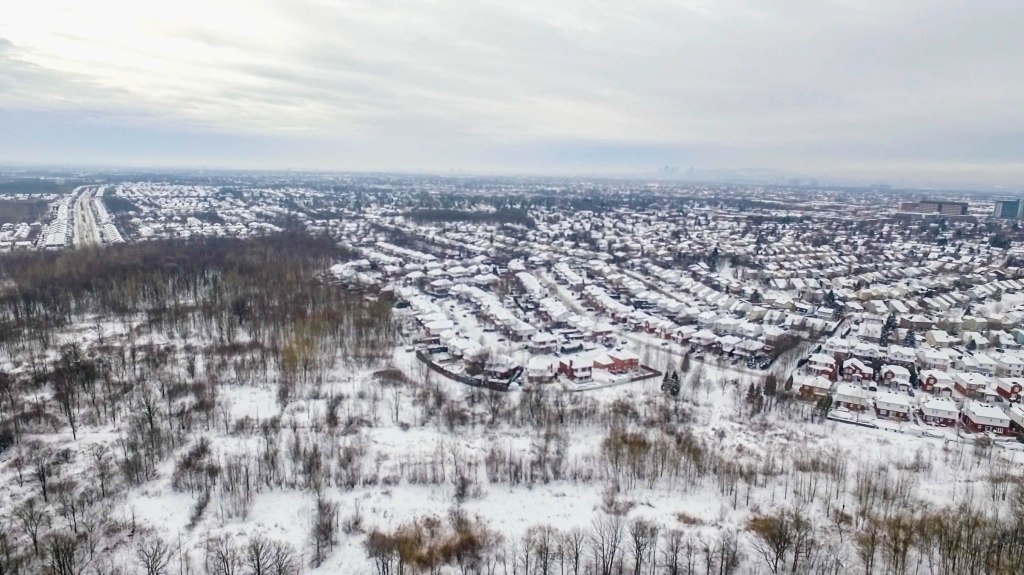 Biodiversité : le bilan du&nbsp;Québec
