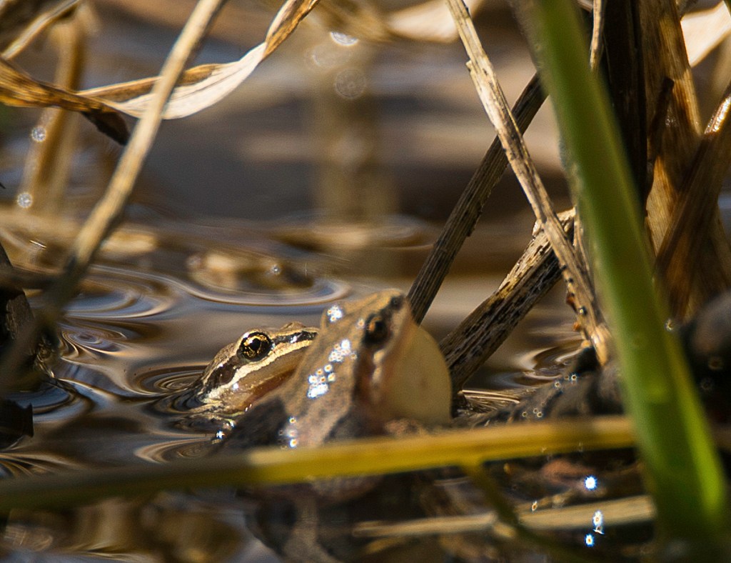 Les jours se suivent et se&nbsp;ressemblent