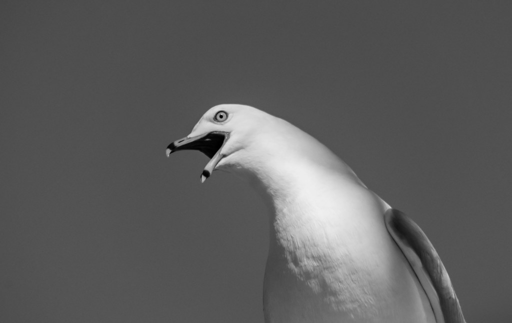 Petit test de&nbsp;lentilles