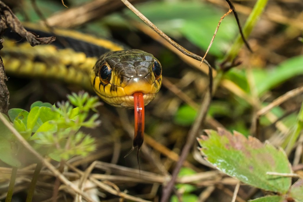 Une journée difficile