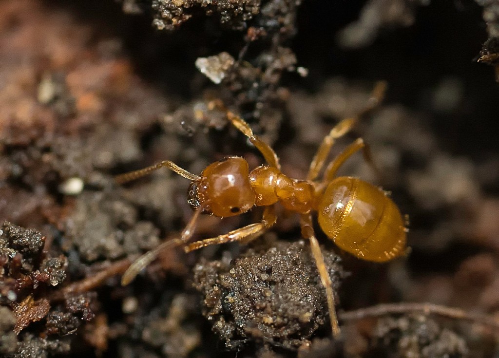 Ça commence à être inquiétant