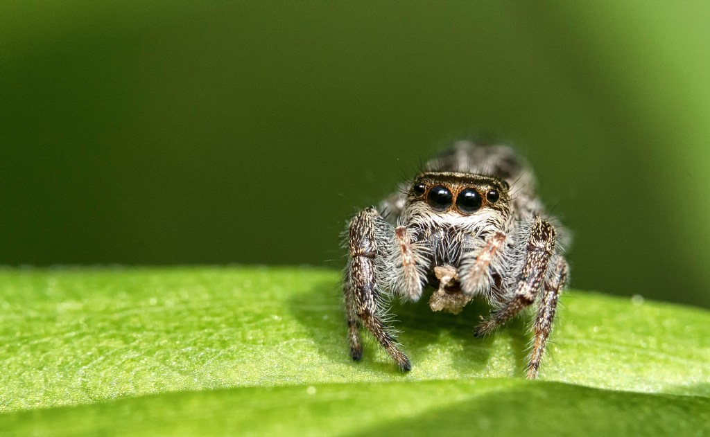 La vie bat son&nbsp;plein