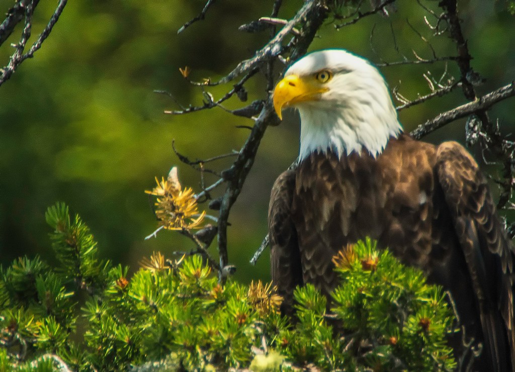 Autre journée de&nbsp;repérage