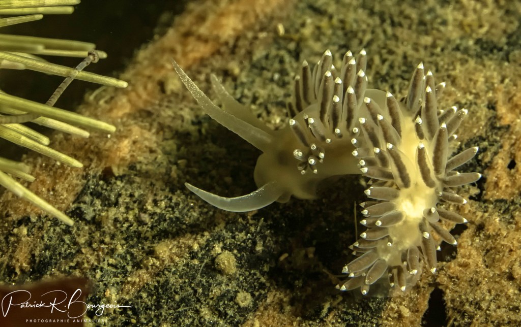 Deux jours en&nbsp;mer
