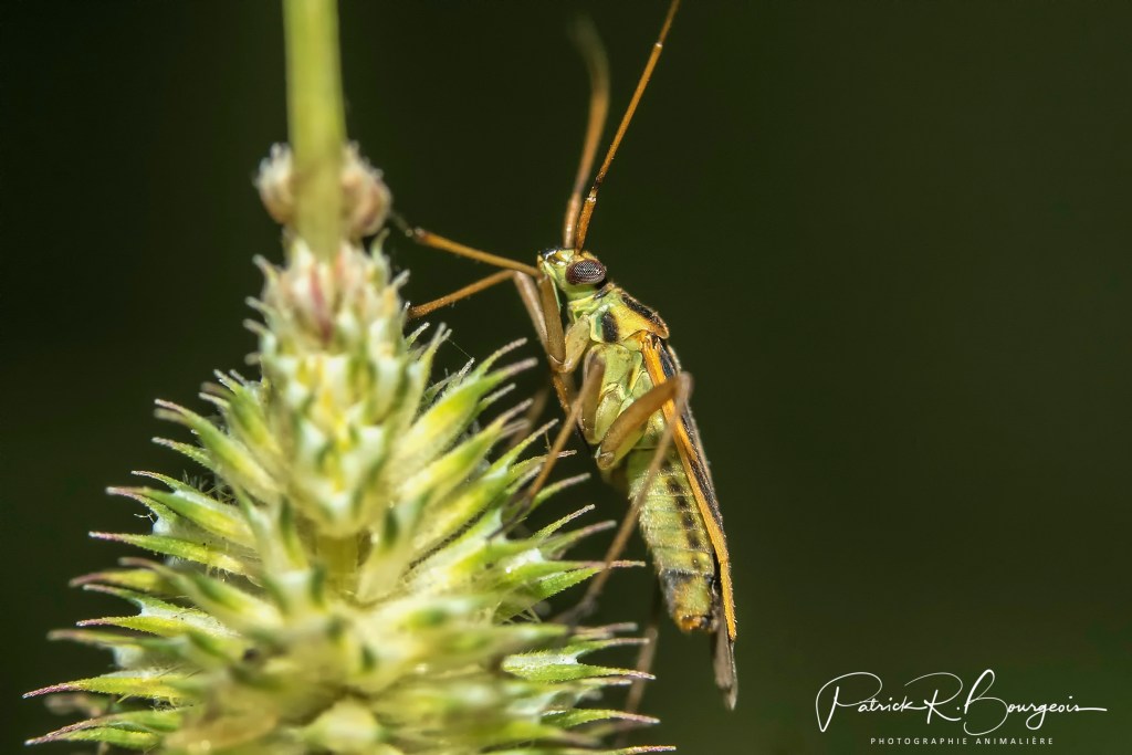 L&rsquo;été achève déjà