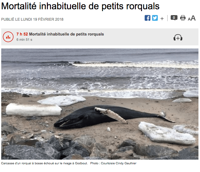 Capture d_écran 2018-02-19 à 14.22.24