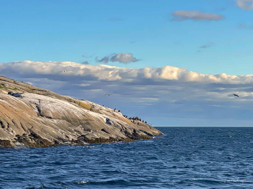 Des bonnes et des moins bonnes nouvelles sur le&nbsp;Saint-Laurent