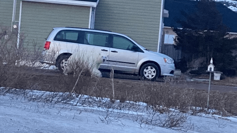Un deuxième ours polaire sur la&nbsp;Côte-Nord!