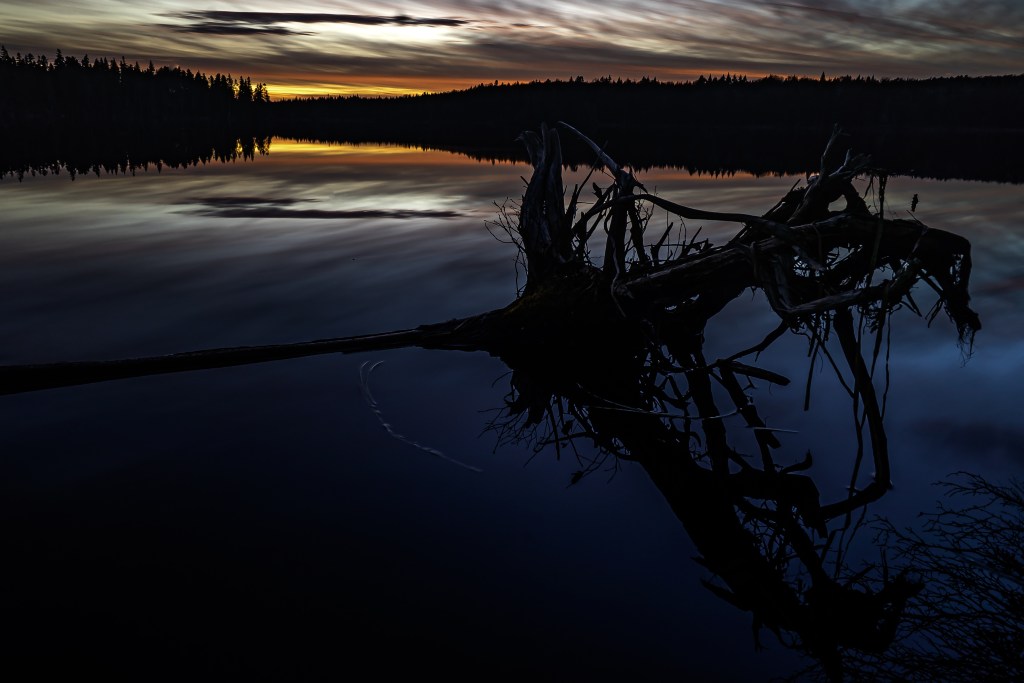 J&rsquo;y retournerai