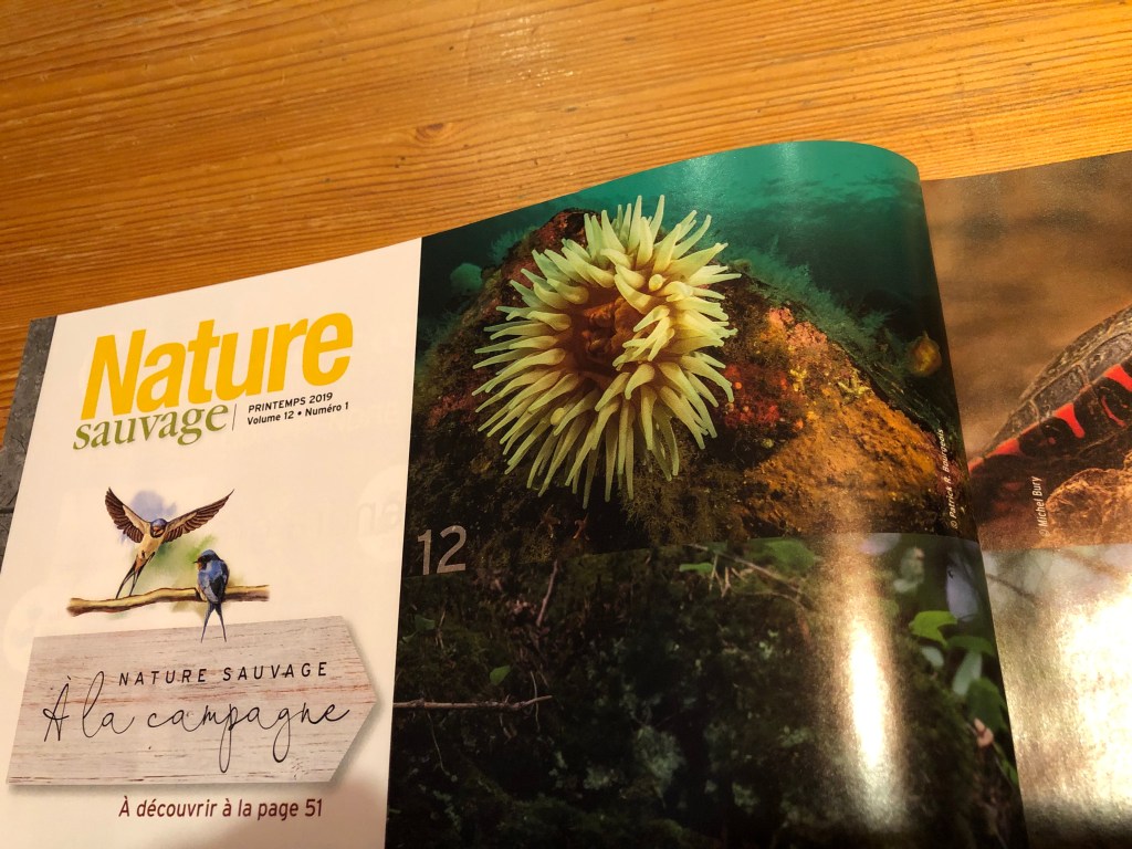 Le rêve se&nbsp;poursuit!