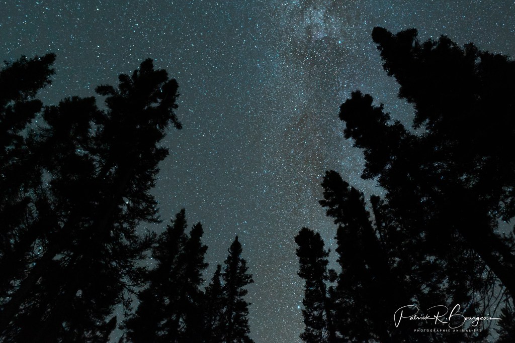 Le nord du petit nord pour la photo&nbsp;d&rsquo;étoiles