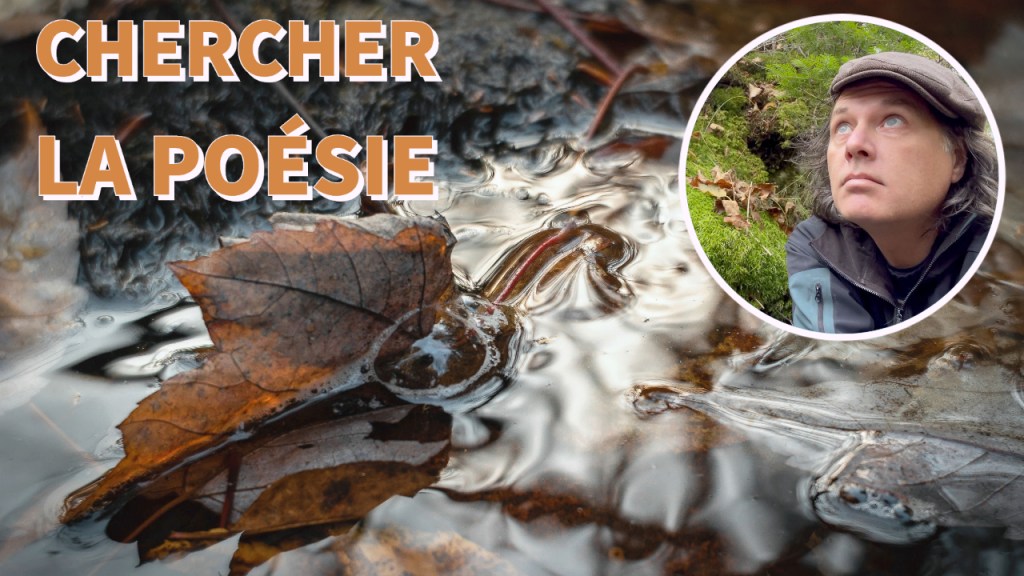 Chercher la poésie où elle ne semble pas se&nbsp;trouver