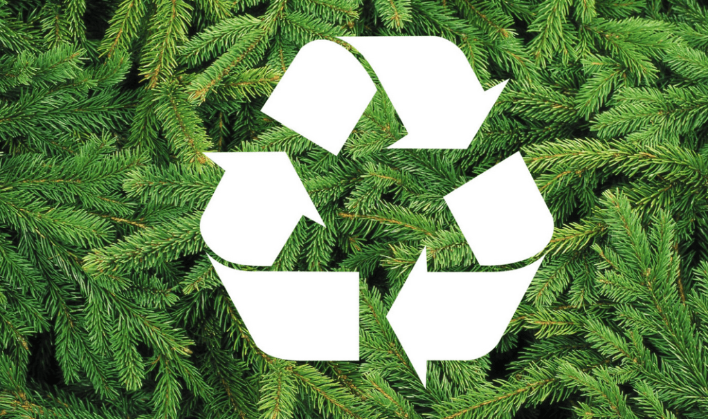 [Insolite] Une façon originale de recycler les sapins de&nbsp;Noël