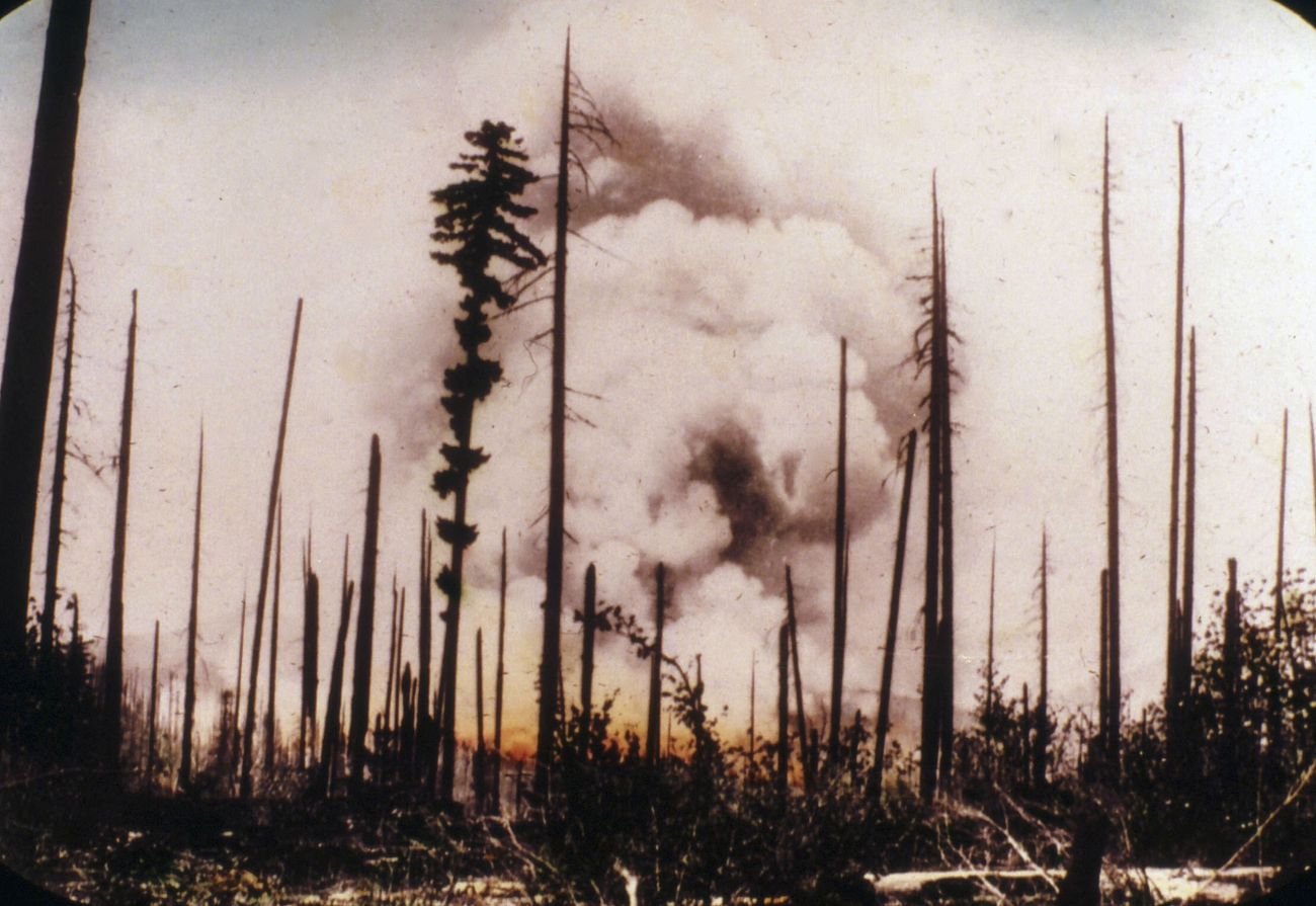 Forest Fire on Columbia NF