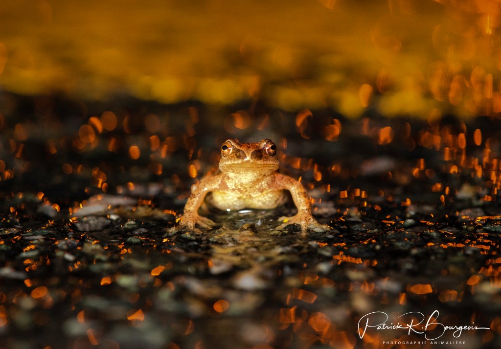 Une sortie de nuit&nbsp;bouleversante