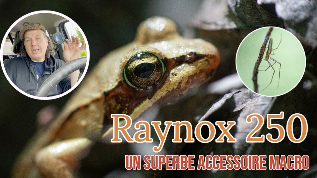 Comment se lancer en macro à peu de&nbsp;frais