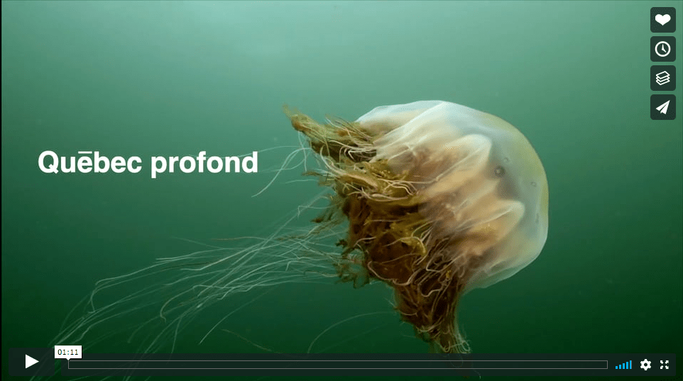 Docu sur le St-Laurent: la&nbsp;bande-annonce