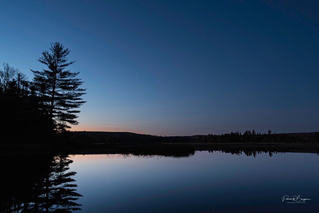 La chasse à la&nbsp;comète