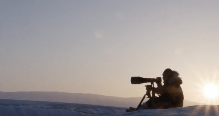 Vincent Munier et les ours&nbsp;polaires