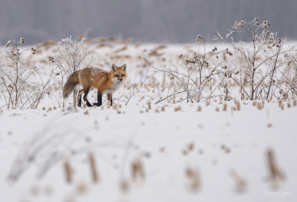 Le contact est&nbsp;établi!