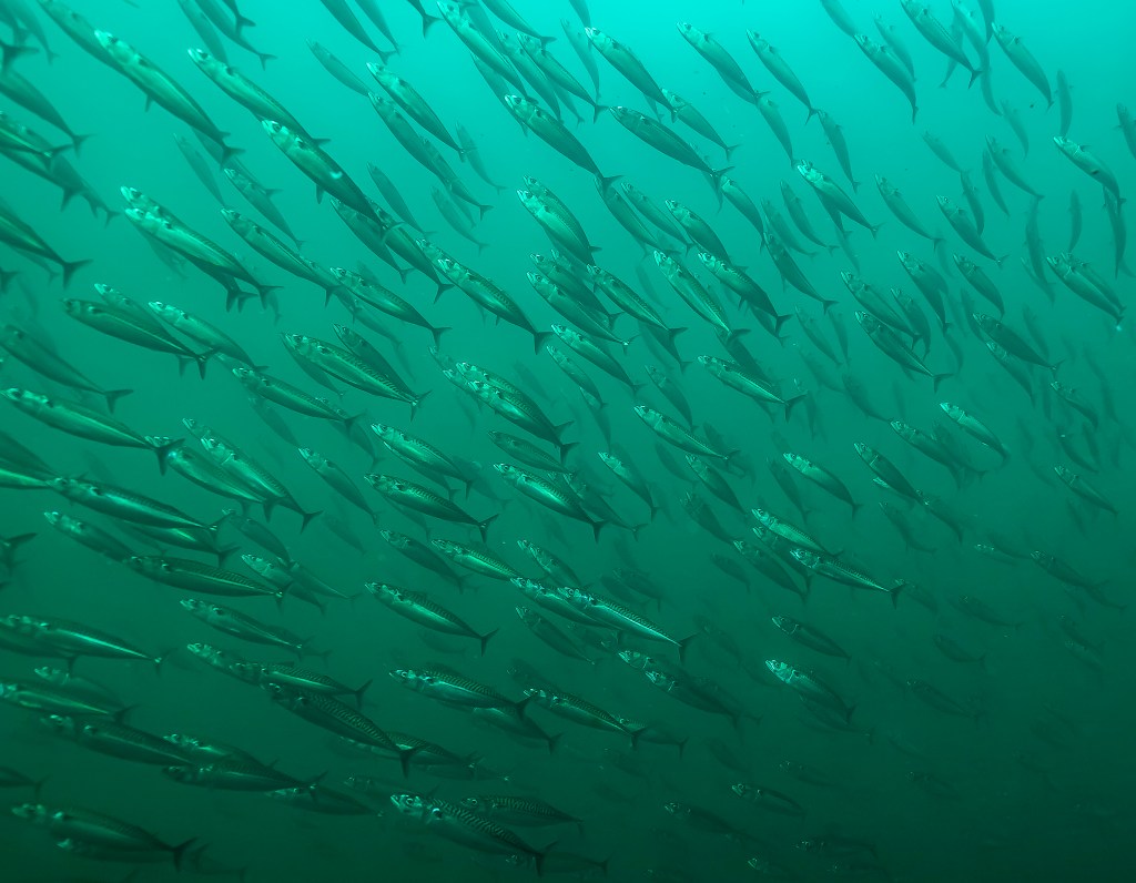 Quand tu te retrouves en plein dans le&nbsp;chemin