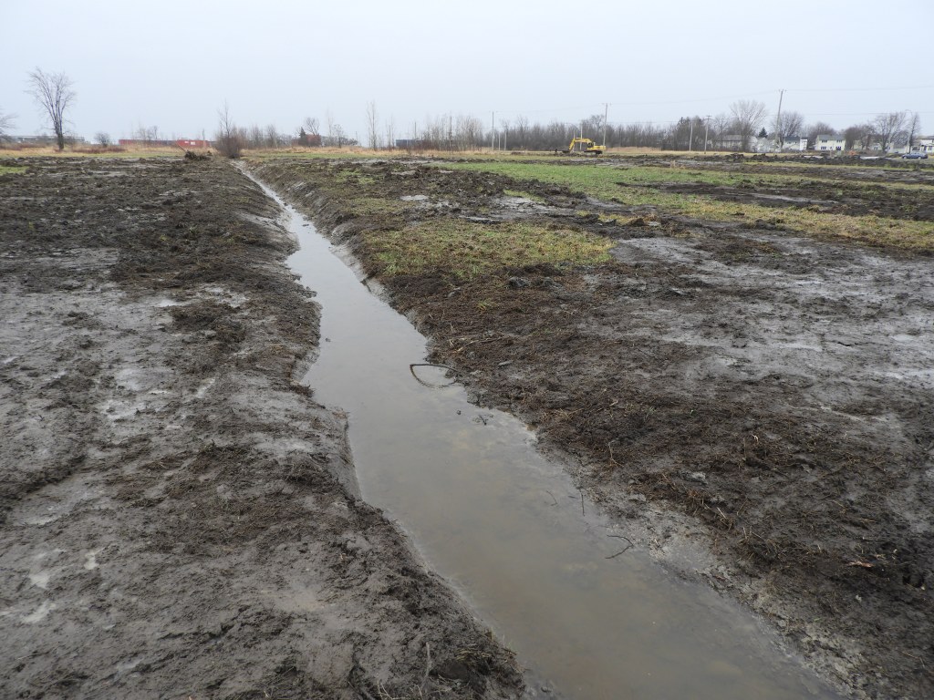 On tente de me faire&nbsp;taire