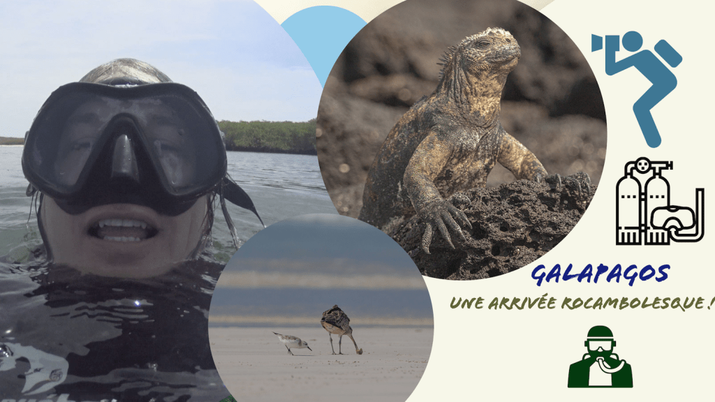 Les Galapagos: le premier&nbsp;épisode!