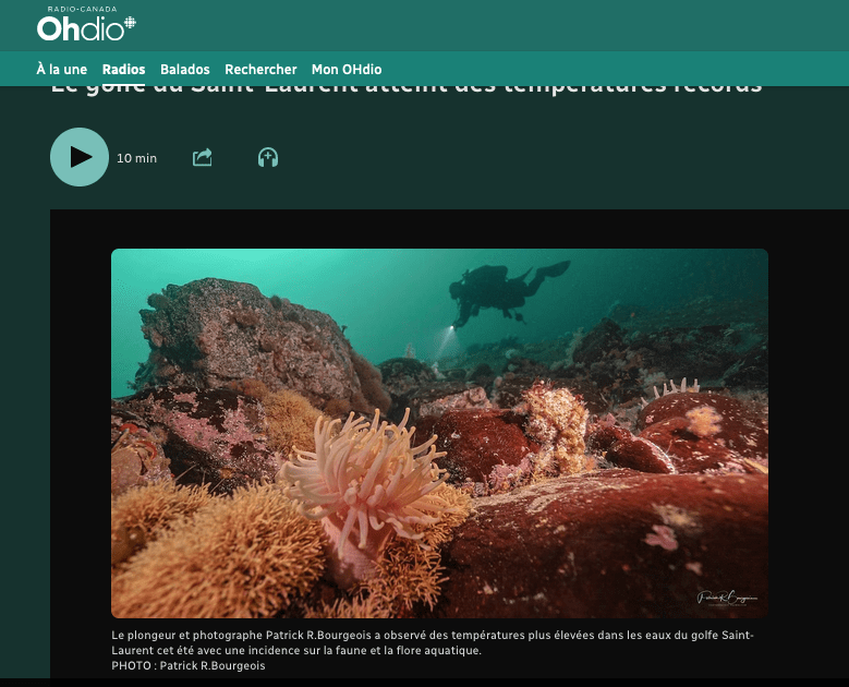 Réchauffement de l&rsquo;estuaire: mon entrevue à&nbsp;Radio-Canada