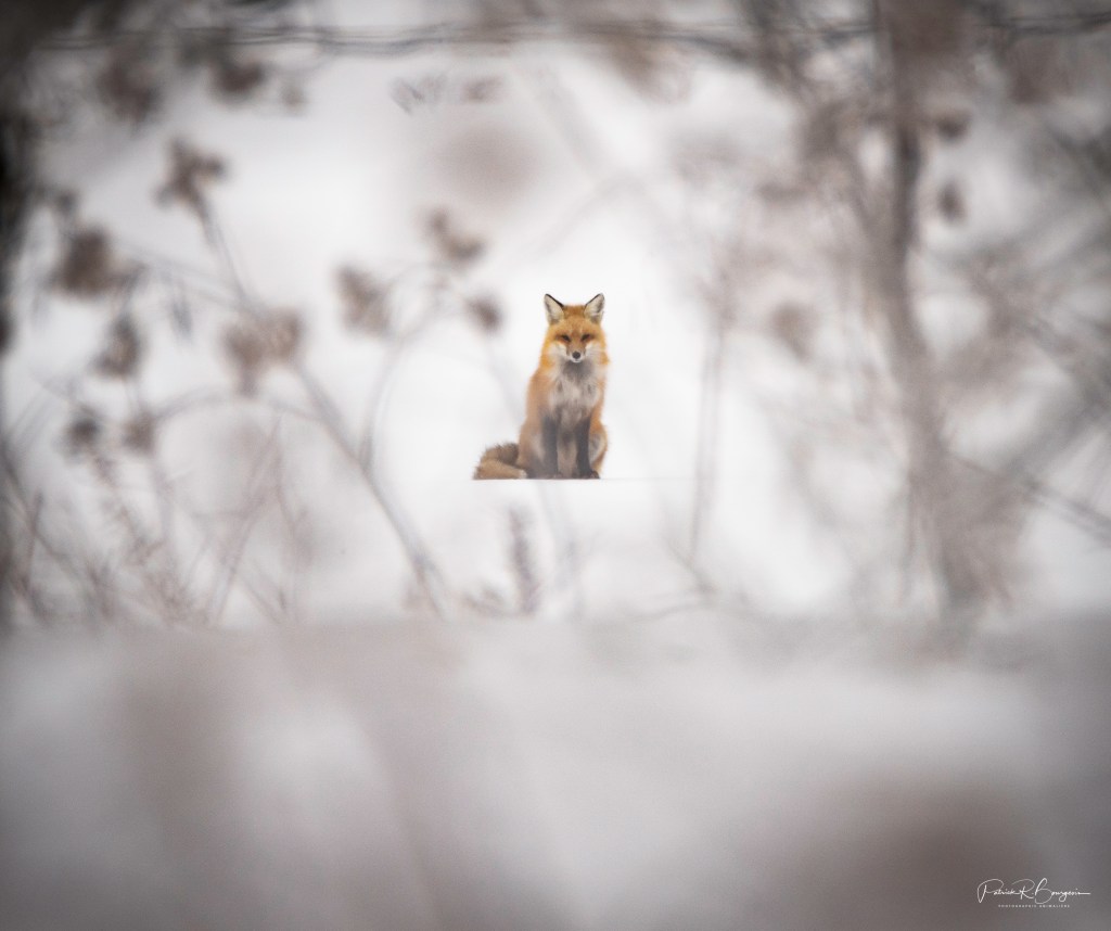 S&rsquo;observer mutuellement