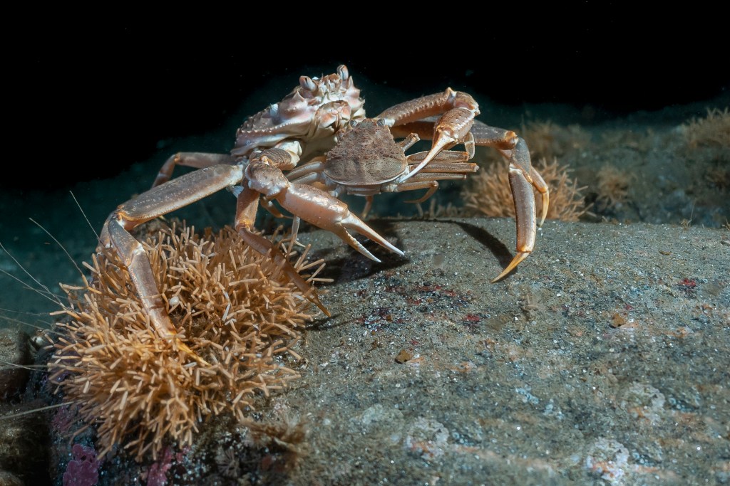 Le Saint-Laurent, c&rsquo;est&nbsp;magnifique!
