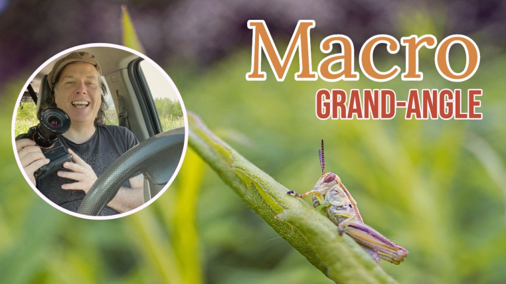 La macro grand-angle