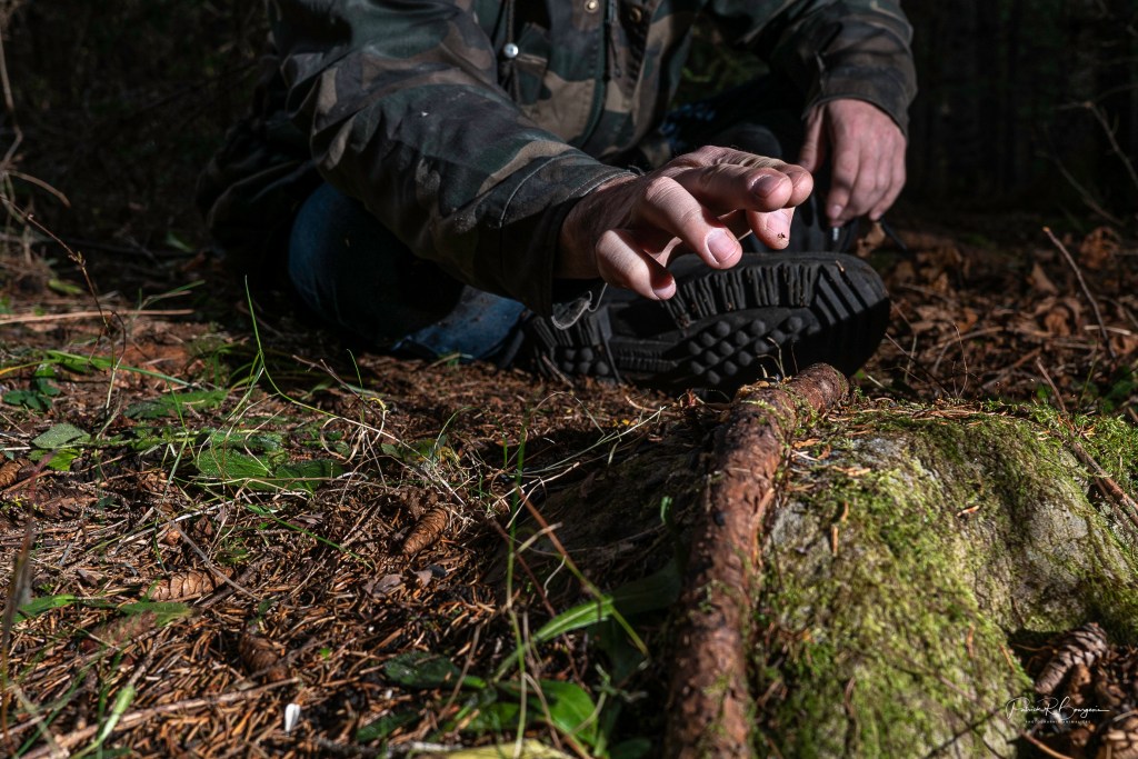 Piégeage photo: Ma plus belle photo de la&nbsp;semaine