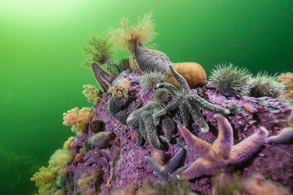 Gros rabais sur mes impressions en&nbsp;acrylique!