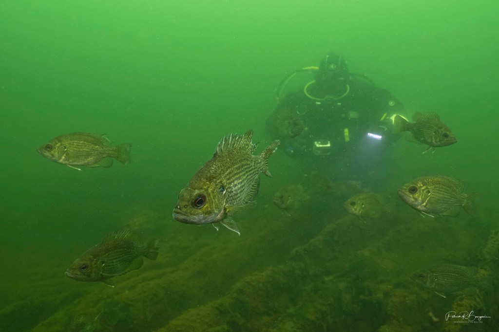 Photo sous-marine: une nouvelle pièce d&rsquo;équipement