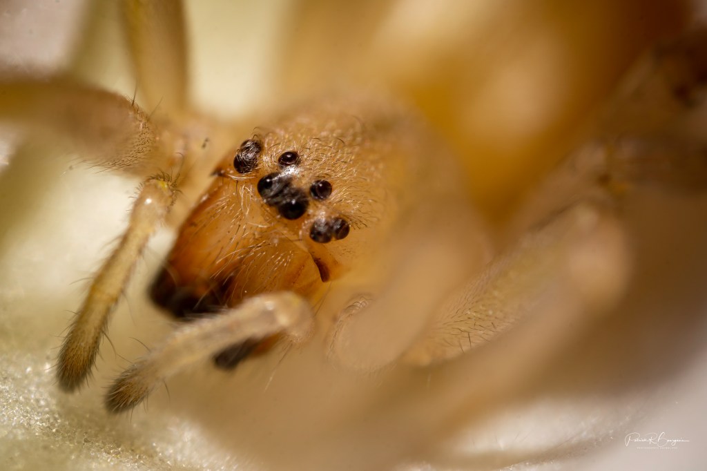 Une occasion à ne pas&nbsp;manquer…