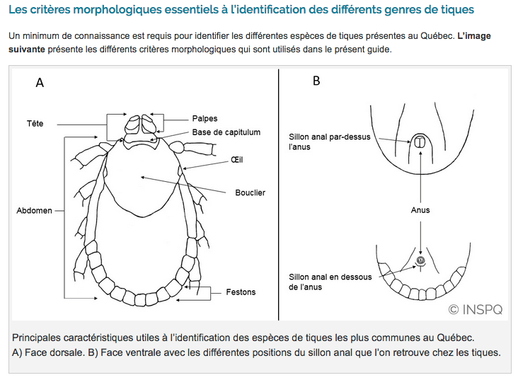 Capture d’écran 2018-03-01 à 10.18.53