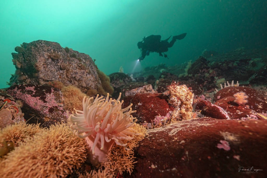 C&rsquo;est le temps de réserver vos&nbsp;dates!