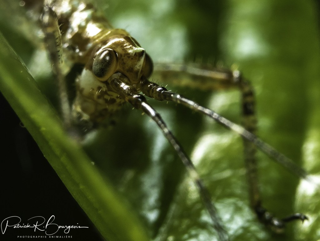 Une belle sortie de&nbsp;nuit