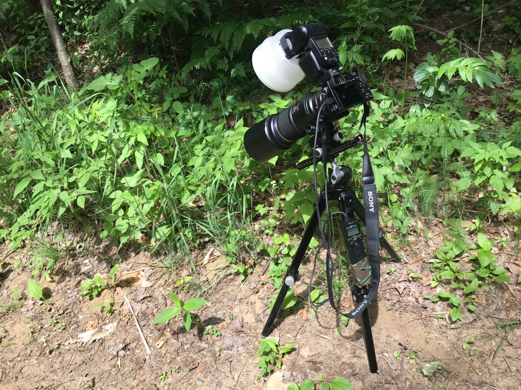 Petit truc pour mieux combattre le flou de&nbsp;bougé