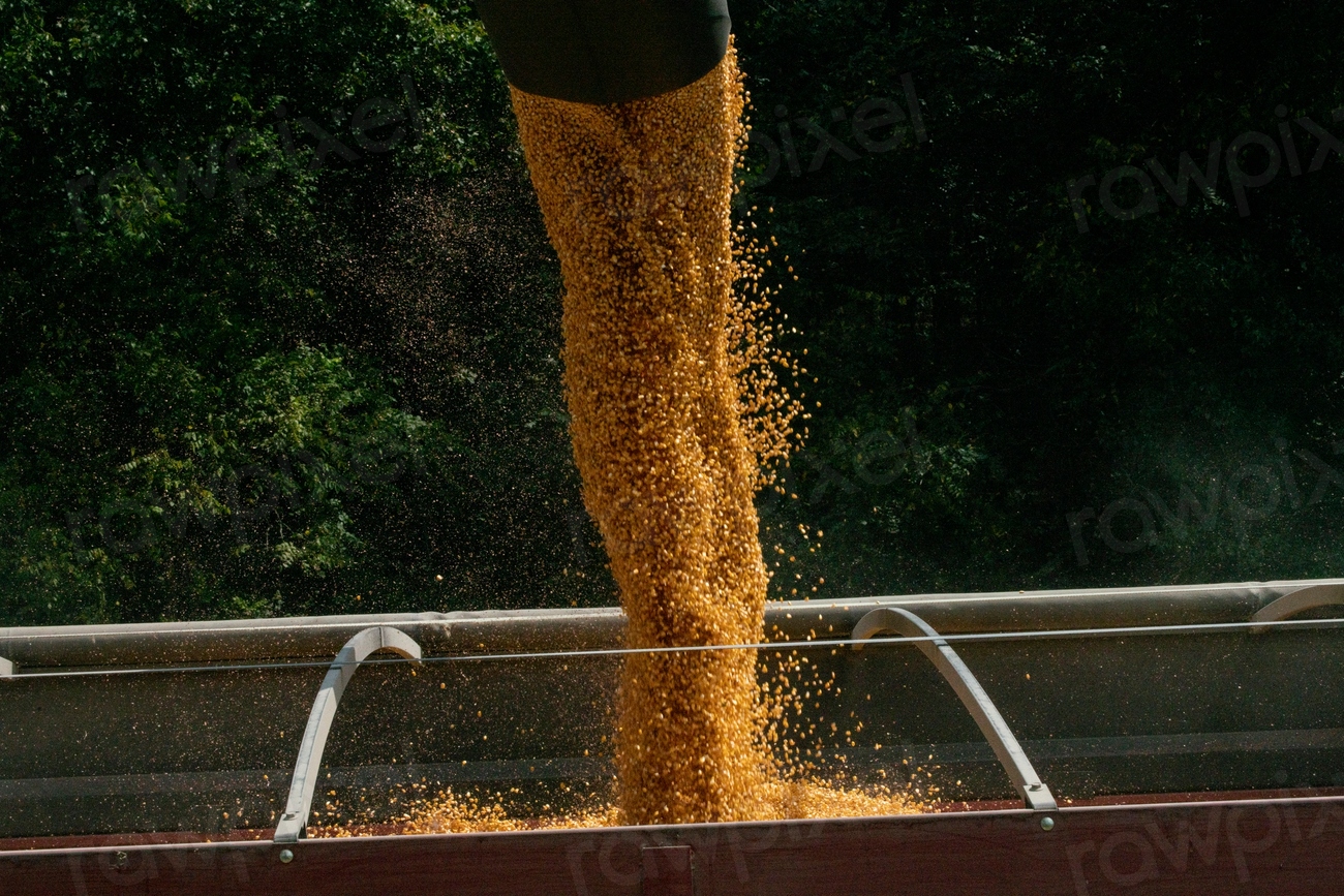Norwood Farms owners and producers