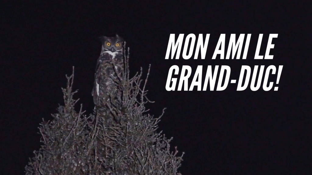 Article sans titre 10511